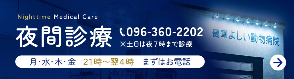 夜間診療（月・火・水・木、21時～翌4時）クリックで詳細へリンク。